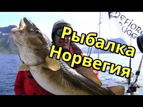 Видео: Рыбалка в Норвегии