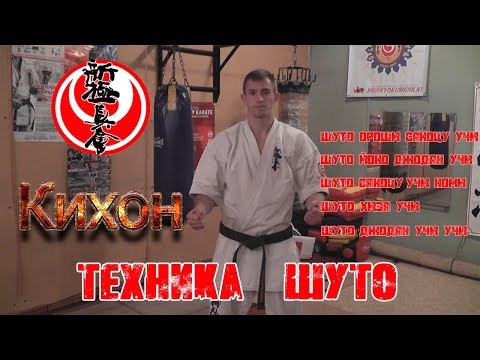 Видео: Кихон. Техника "Шуто"