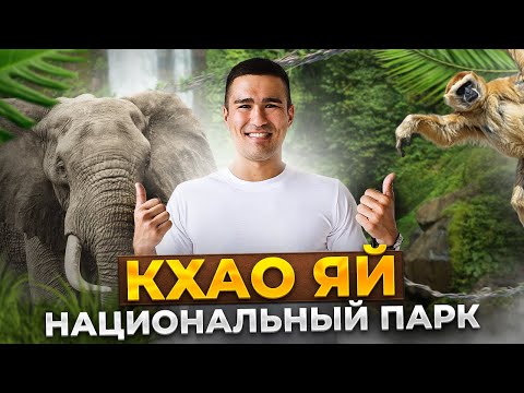 Видео: Кхао Яй — сафари, дикие слоны и ночь в джунглях Таиланда