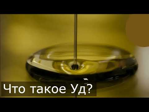 Видео: Что такое УД и где его берут