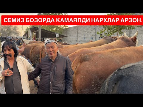 Видео: ЁР СИТИ ЎЗИМНИ СЕМИЗ БУҚАЛАРИМНИ СОТДИМ ХАКИМ АКАГАХАМ ИШ ЙЎҚ ЭКАН МЕН….