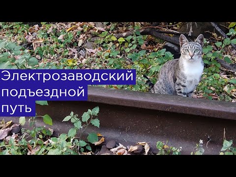 Видео: Электрозаводский подъездной путь от станции Черкизово в Москве