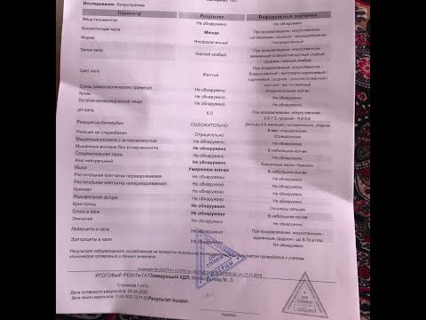 Видео: Копрограмма. Анализ в помощь в работе с реабилитацией ЖКТ.