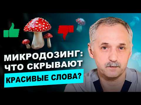 Видео: Микродозинг мухоморов – Модная добавка или смертельная опасность для здоровья? / Доктор Виктор