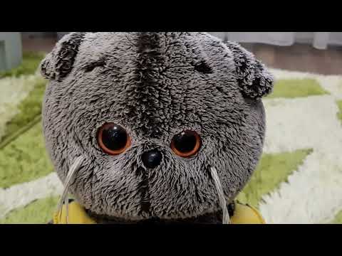 Видео: Утро Басика