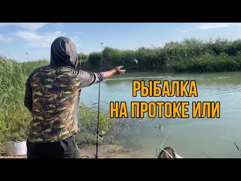 Видео: Рыбалка на протоке Или. #рыбалканаили #рыбалка #сазанкарась