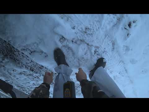 Видео: Охота на зайцев