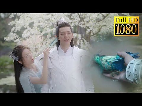 Видео: Господь спас маленькую птичку, неожиданно она оказалась прекрасной феей