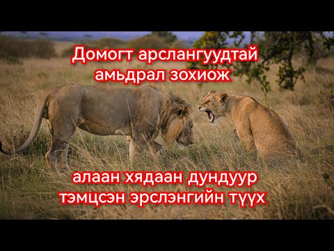 Видео: Сүүлгүй Цаала эрслэнгийн тэмцэл. Гоё Түүхүүд Goy tuuhuud mongol heleer kino duu barimtat part 1