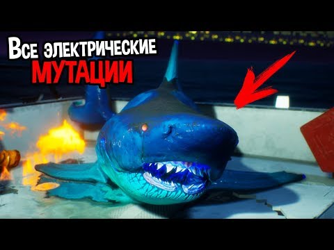 Видео: БИОЭЛЕКТРИЧЕСКАЯ АКУЛА НАБРАЛА МАКСИМАЛЬНЫЙ ВЕС ( Maneater )