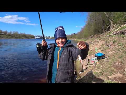 Видео: В ПОИСКАХ СЫРТИ. РЕКА СЯСЬ.