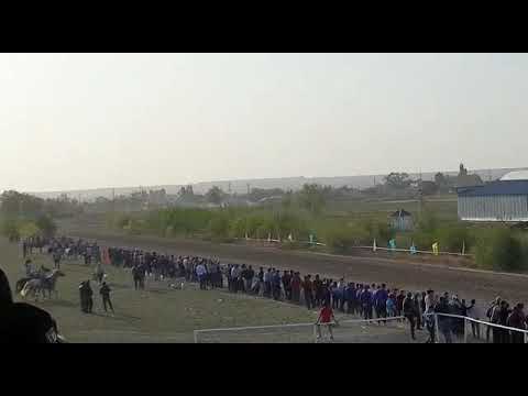 Видео: Ақмоншақ. Қарасай ауданы 90 жылдық. Аламан байге