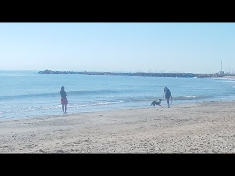 Видео: А мы на море! ❤️