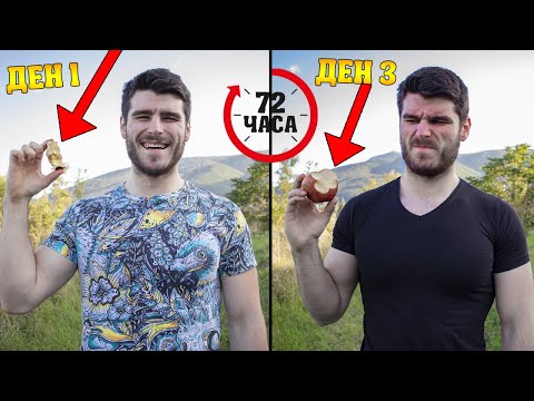 Видео: 72 часа САМО на ПЛОДОВЕ