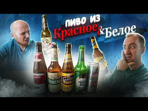 Видео: Ищем хорошее ПИВО в "Красное и Белое"!