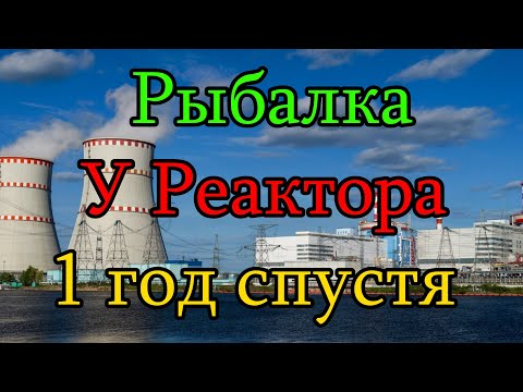 Видео: Рыбалка У Реактора. Тем же составом 1 год спустя. Удомля. Тути-фрути РУЛИТ. Летний фидер.