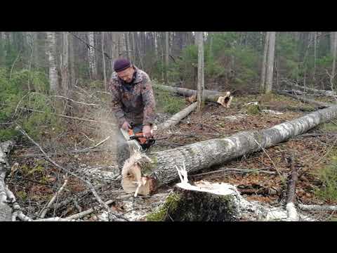 Видео: Валим лес