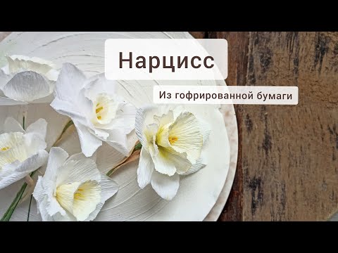 Видео: Махровый нарцисс из гофрированной бумаги