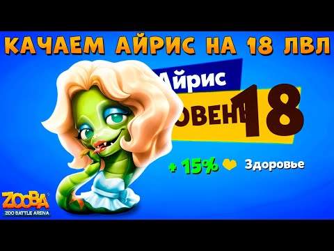 Видео: КАЧАЕМ ГЛАМУРНУЮ АЙРИС НА 18 УРОВЕНЬ В ИГРЕ ZOOBA