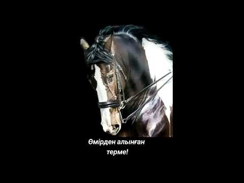Видео: Өмірден алынған терме тыңдап бағасын берекетінздер #терме #Қазақстан 🇰🇿 #Өзбекстанда 🇺🇿 #өмірдін