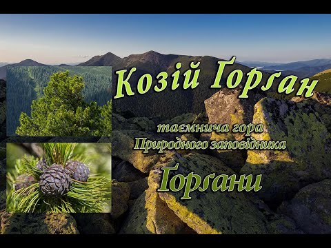 Видео: Козій Ґорґан - таємнича гора Природного заповідника Ґорґани