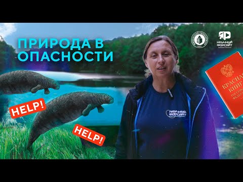 Видео: Природа в опасности. Надежда Киселева (Научный форсайт #12)