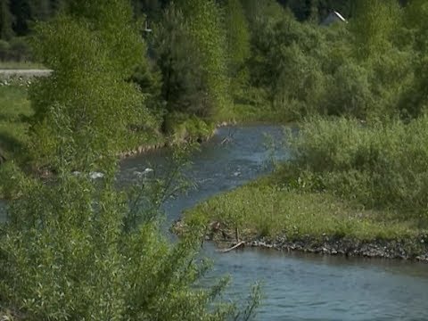 Видео: Край без окраин: На Манских берегах