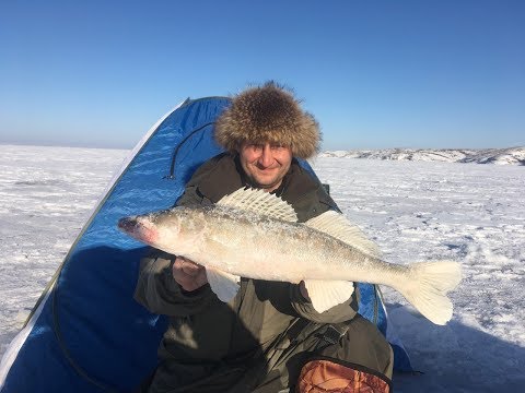 Видео: Ирикла  4-6 января 2018. Трофейный судак!!! Рыбалка СУПЕР!!!