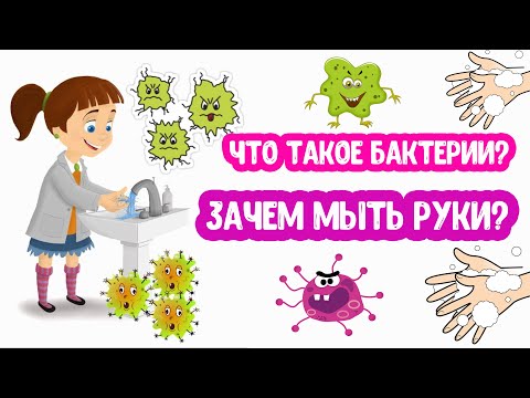 Видео: БАКТЕРИИ. Зачем Мыть РУКИ?