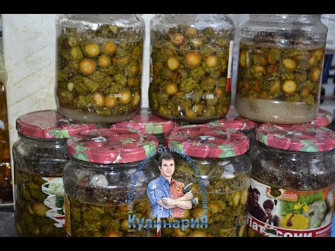 Видео: САМОЕ ЭФФЕКТИВНОЕ СРЕДСТВО ОТ ПРОСТУДЫ. Сосновые шишки с сахаром без варки