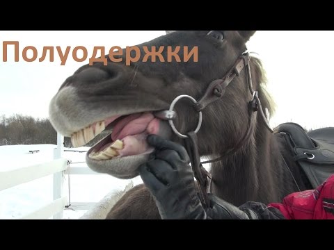 Видео: Как эффективнее управлять лошадью. Полуодёржки.