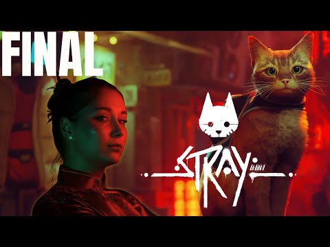 Видео: Финал | Кошачьи слёзки | Stray