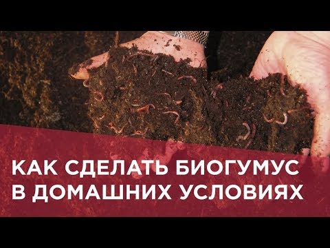 Видео: Как сделать биогумус в домашних условиях