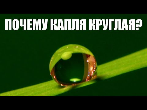 Видео: Почему капля круглая?