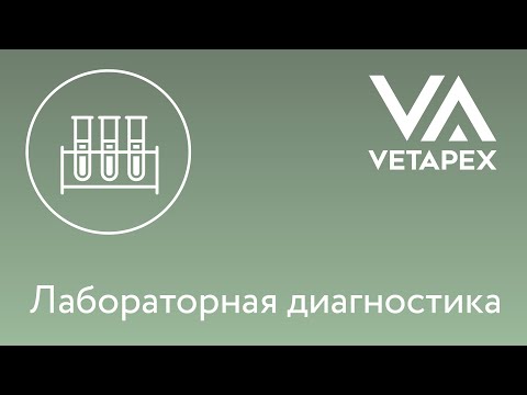 Видео: Ирина Куриленкова - "Общий клинический анализ крови. Начало"