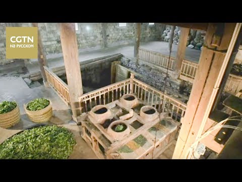 Видео: Чай - история одного листа Серия 5 Время останавливается для чая Часть 1 [Age 0+]