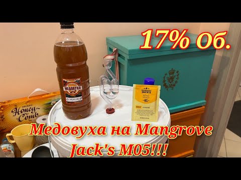 Видео: Медовуха на Mangrove Jack's M05.