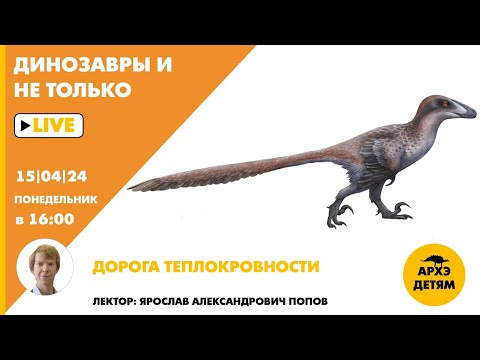 Видео: Занятие "Дорога теплокровности" кружка "Динозавры и не только" с Ярославом Поповым