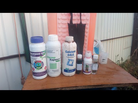 Видео: УНИЧТОЖАЕМ ТУТУ АБСАЛЮТУ /ДОКТОР ХАРВЕСТ /ИНСЕКТИЦИД