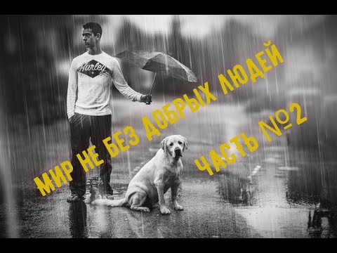 Видео: ДЕЛАЙ ДОБРО\ МИР НЕ БЕЗ ДОБРЫХ ЛЮДЕЙ\ДОБРОТА\ПОСТУПОК ДОСТОЙНЫЙ УВАЖЕНИЯ