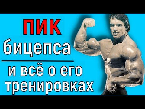 Видео: пик бицепса