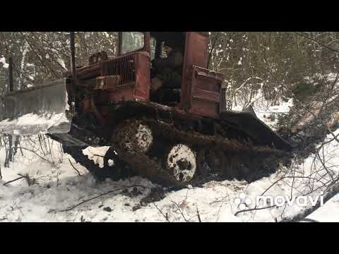 Видео: ТдТ-55 в лесу в грязи.