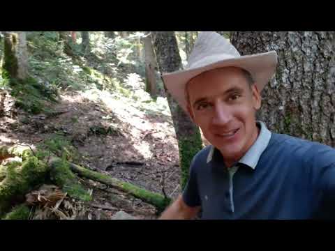 Видео: АБХАЗИЯ 3 августа 2022 г. Большая и Малая Рица