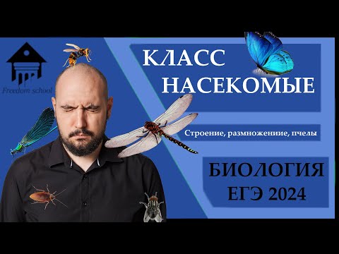 Видео: Класс НАСЕКОМЫЕ для ЕГЭ 2024 |ЕГЭ БИОЛОГИЯ|Freedom|