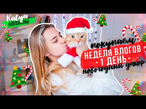 Видео: НЕДЕЛЯ VLOGMASов! Покупаем новогодний декор/День 1!!!