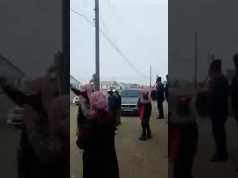 Видео: Той Арал