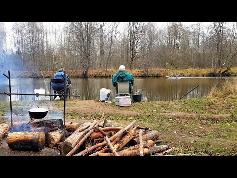 Видео: Закрыли Сезон Крупными Лещами!! Рыбалка с Ночевкой. Уха и Бабка на Костре. Жор Леща. Лещ на Фидер.