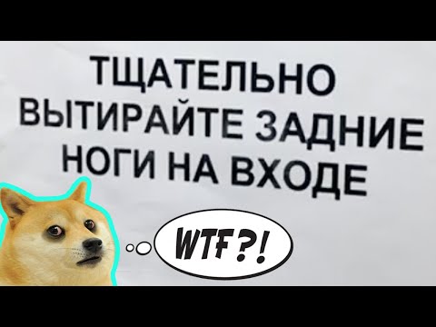 Видео: 150 САМЫХ УПОРОТЫХ ОБЪЯВЛЕНИЙ - ТЩАТЕЛЬНО ВЫТИРАЙТЕ ЗАДНИЕ НОГИ