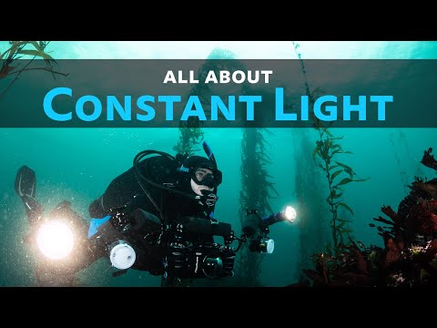Видео: Всё о постоянном свете под водой