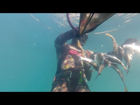 Видео: Подводная охота в Ласпи 27.07.2025